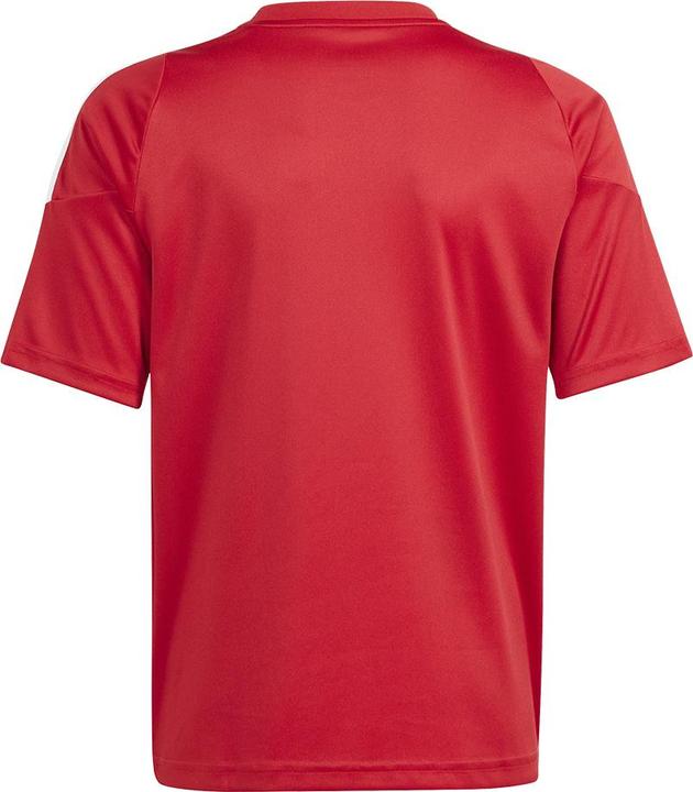 Actual product image adidas TIRO24 JSY Y (116)