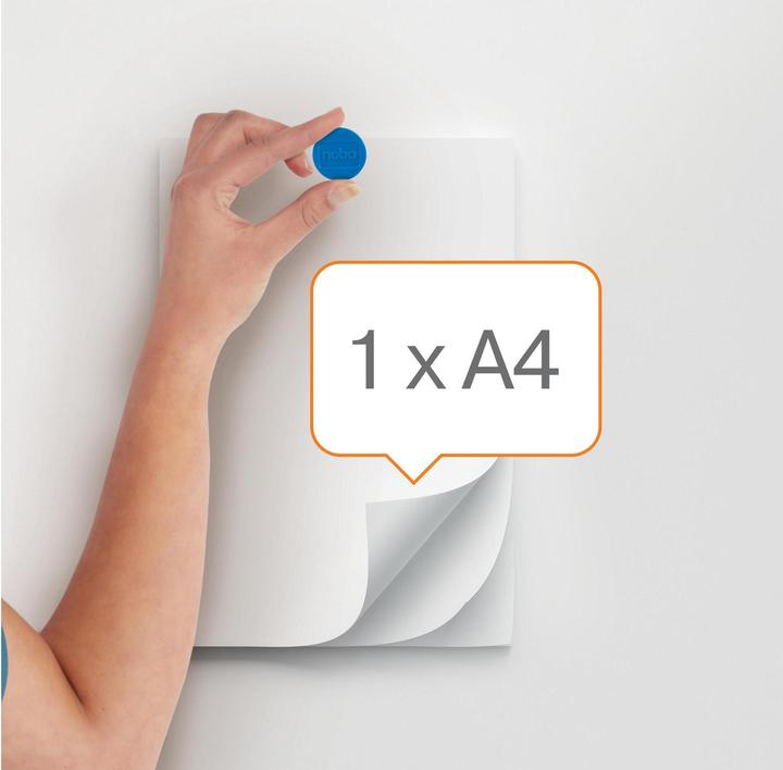 Actual product image Nobo Magnet round 13mm 1915290 ass. 10 piece (10 x)