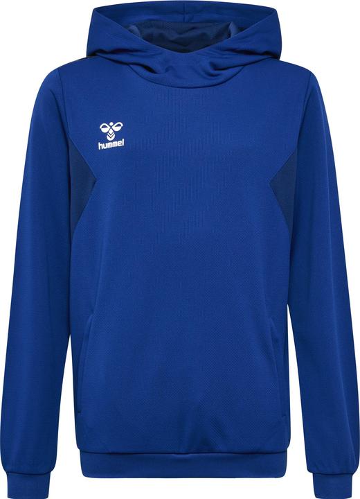 Immagine prodotto hummel Hmlauthentic Pl Hoodie Kids (140)