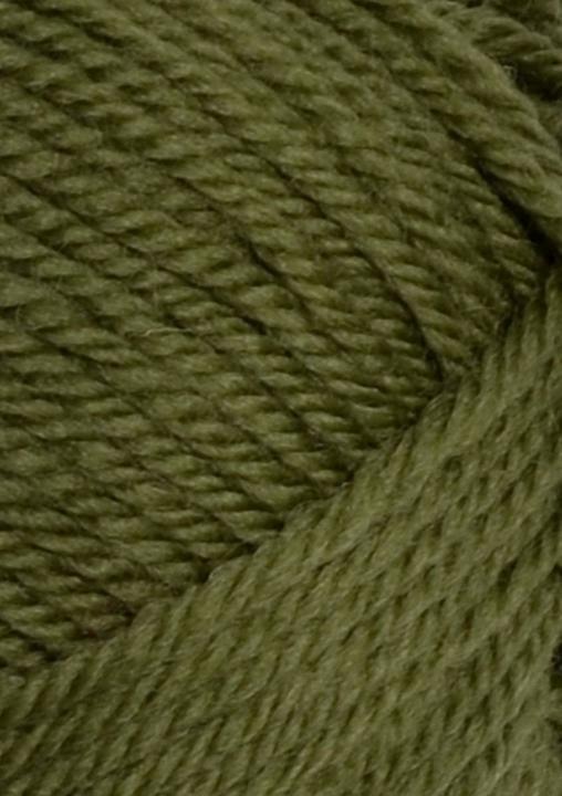 Col. 9553 Olive