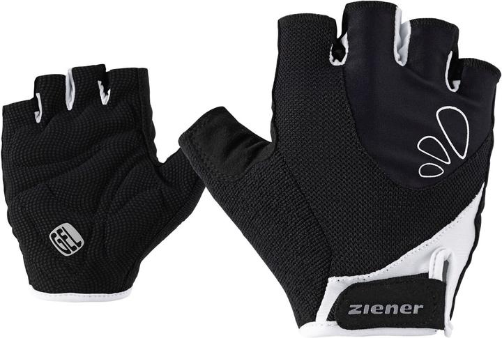 Ziener Capela