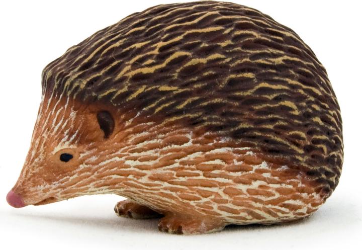 Actual product image Animal Planet Echidna
