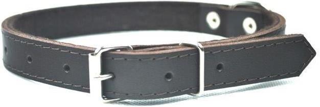 Immagine prodotto Chaba 600347 Collare per cani / gatti Collare standard per cani in pelle (Cane)