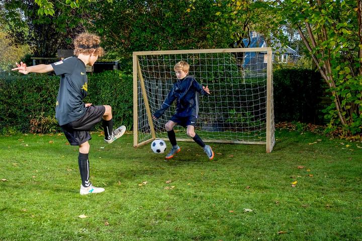 Produktbild Euro Play Homegoal Classic Senior