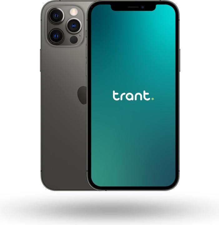 Trant.ch iPhone 12 Pro (256 Go, Graphite, 6.10", SIM + eSIM, B / Très bon)