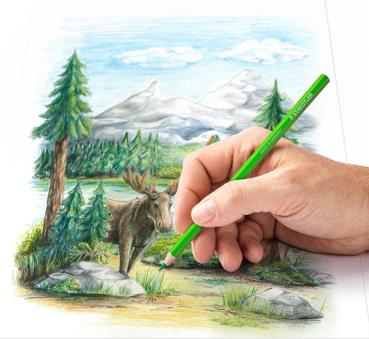 Actual product image Staedtler 146C, Metal Case With 72 Colored Pencils In Assorted Colors (72 colours, 1 x)