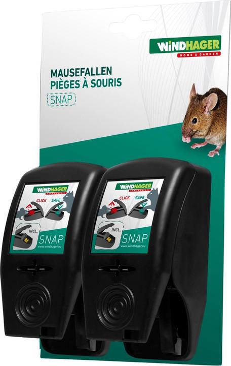 Actual product image Windhager Mouse Traps
