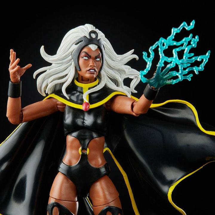Image du produit Hasbro X-Men Storm & Thunderbird