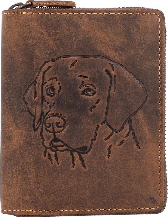 Chien