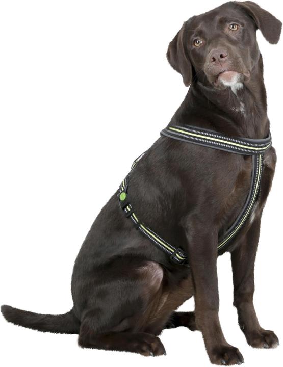 Produktbild Kerbl Geschirr (Hund, Hundesport)