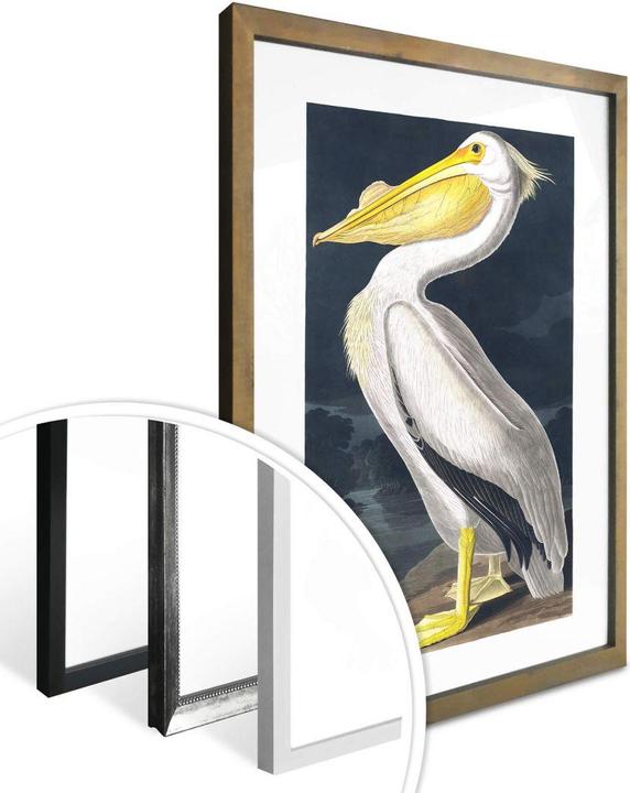 Actual product image Trenddeko Pelican (60 x 80 cm)