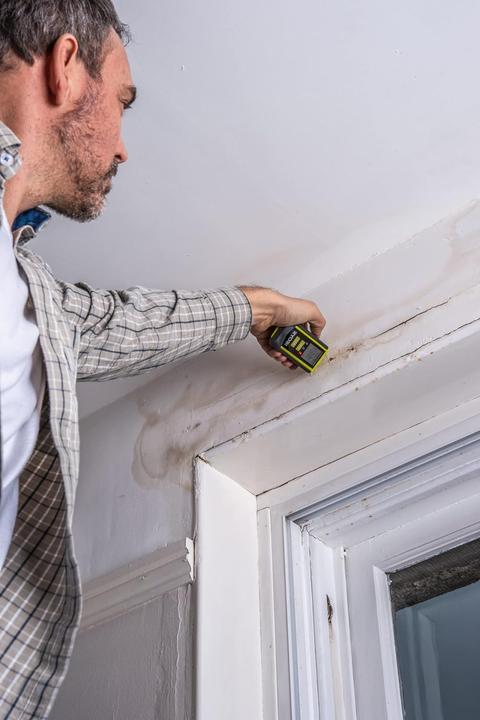 Actual product image Ryobi Moisture meter