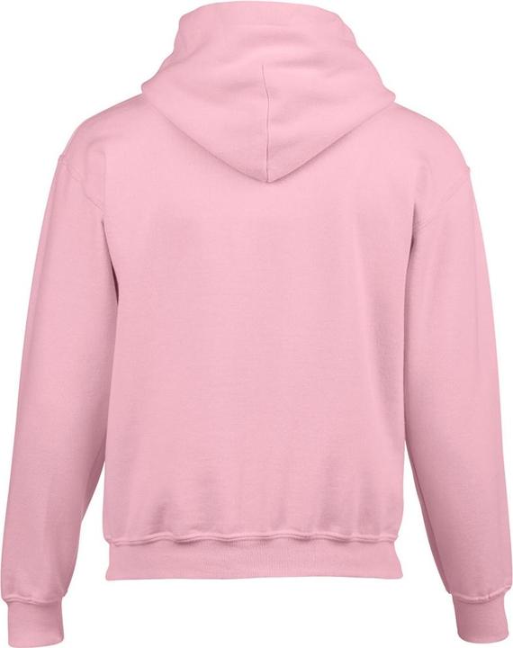 Image du produit Gildan Sweat-shirt avec capuche (XS)