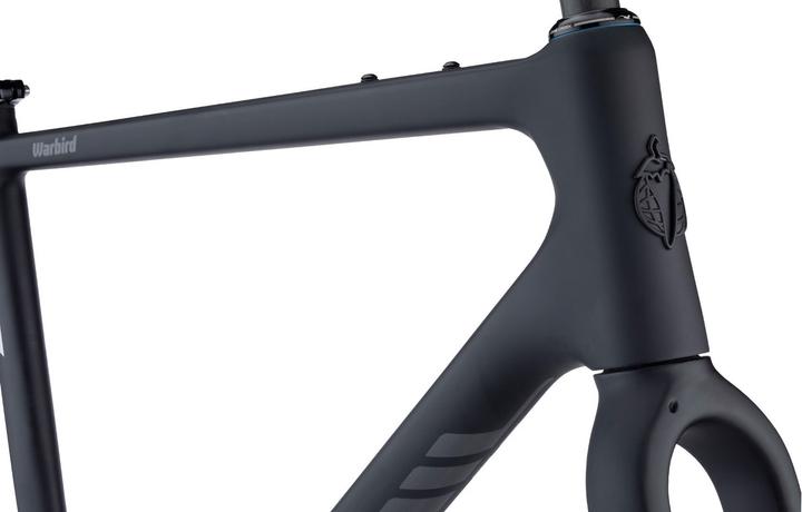 Immagine prodotto Salsa Warbird Carbon Gravel