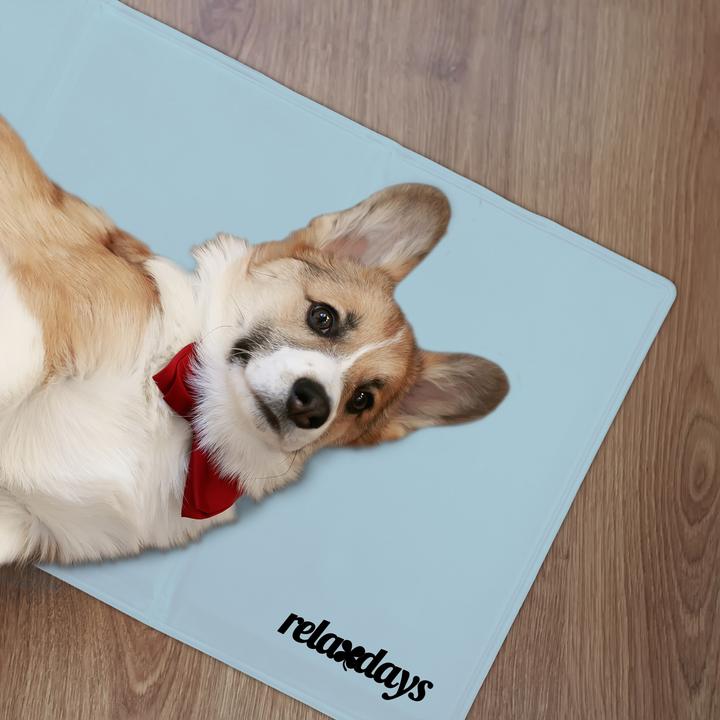 Immagine prodotto Relaxdays Tappetino di raffreddamento per cani, grigio (Cane)