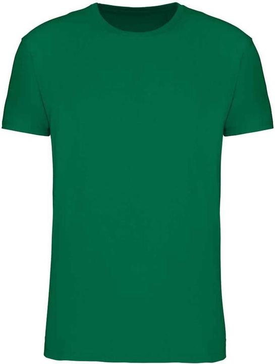 Vert irlandais