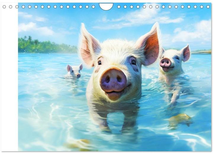 Produktbild Schweinereien in der Karibik. Sonne und Spa mit schwimmenden Schweinen (Wandkalender 2025 DIN A (A4, Kein Einband, Deutsch)