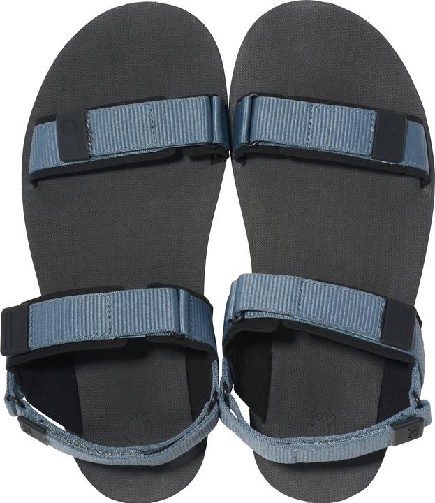 Actual product image Xero Shoes D-Trail (43)