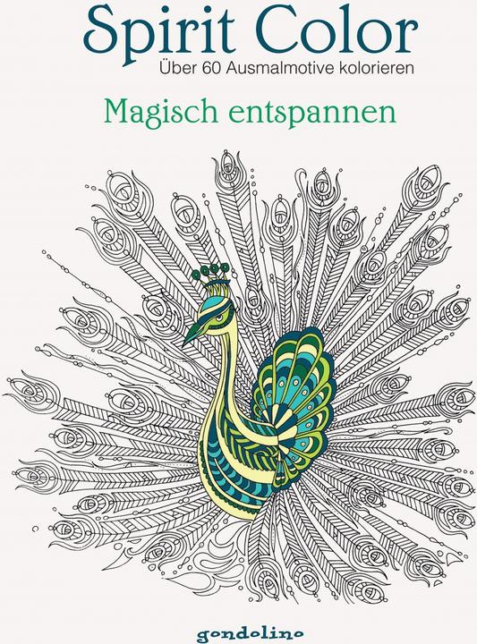 Image du produit Spirit Color : Coloriage de plus de 60 motifs à colorier - Détente magique