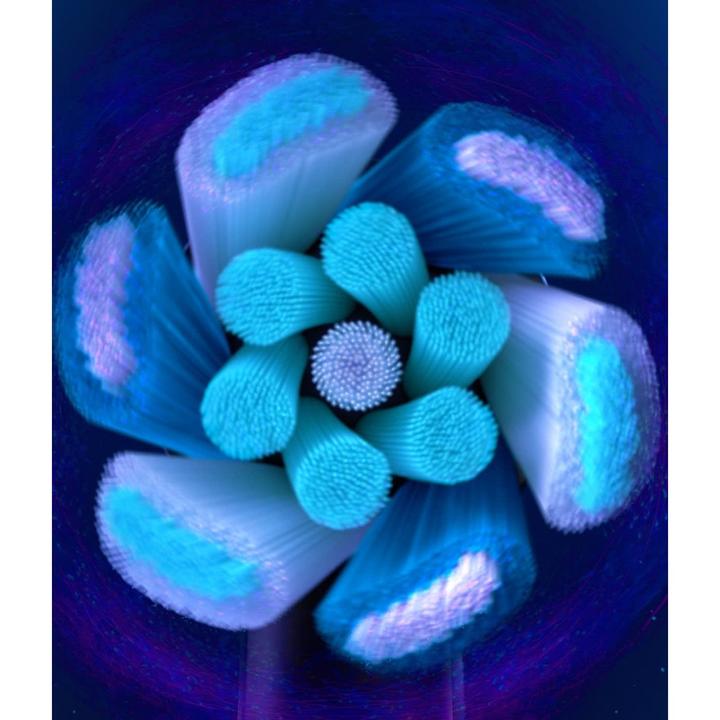 Image du produit Oral-B iO Ultimative Reinigung (4 x)