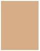 Actual product image Bourjois Healthy Mix Clean & Vegan Radiant Foundation (52W Vanilla)
