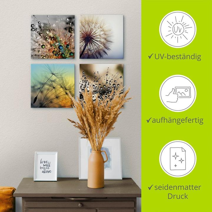 Produktbild Artland Pusteblume,Nahaufnahme Löwenzahn J4XD (30 x 30 cm)