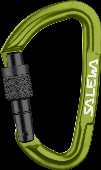 Image du produit Salewa Vis G3 chaude