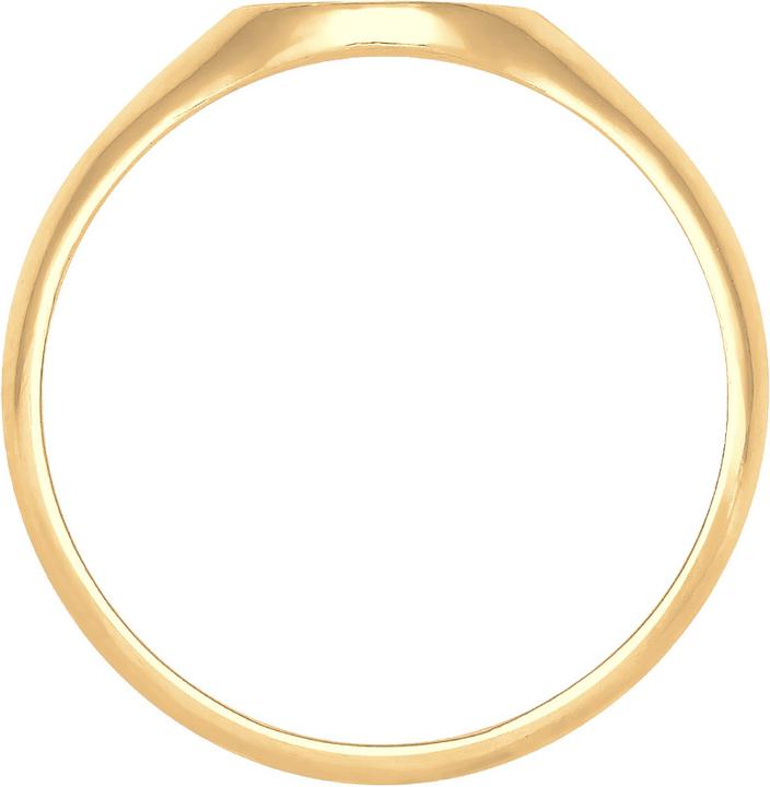 Produktbild Elli Siegelring Matt Optik (56, 925 Silber)
