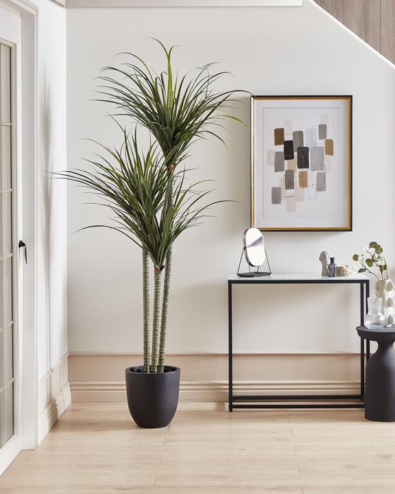 Image du produit Beliani Dracaena Anita (198 cm)