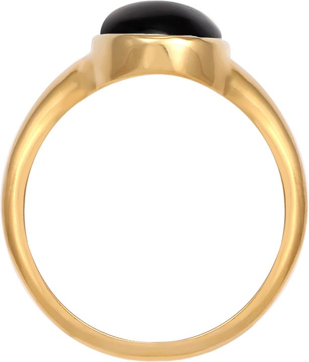 Actual product image Elli Siegelring mit Onyx Edelstein (58, 925 Silver)