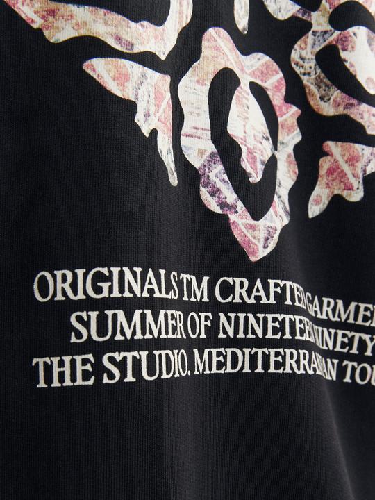 Actual product image Jack & Jones Jornoto Graphic Sweat Hood (S)