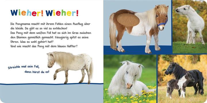 Produktbild Hör mal rein, wer kann das sein? - Kuschelige Tiere (Deutsch)