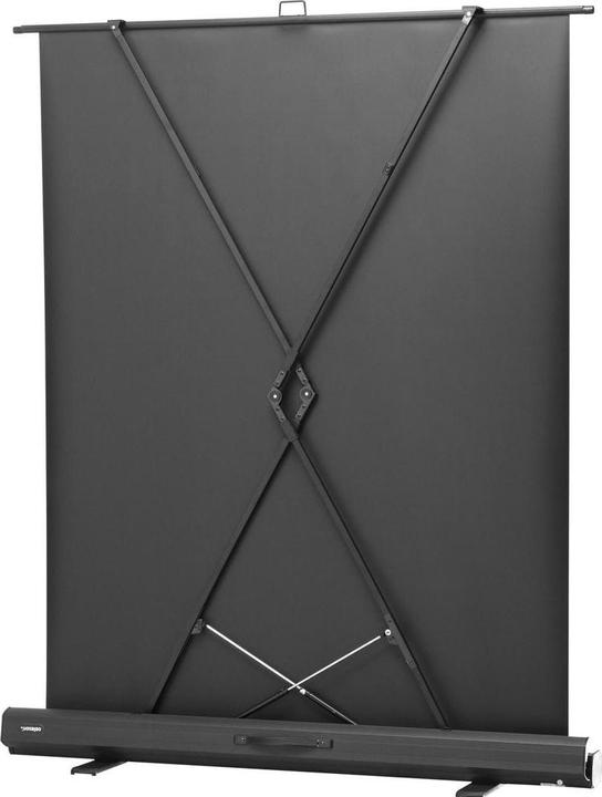 Actual product image Celexon Ultramobil Plus Professional (87", 16:9)