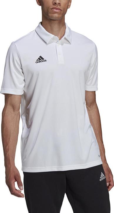 Actual product image adidas Entrada 22 polo shirt men (M)