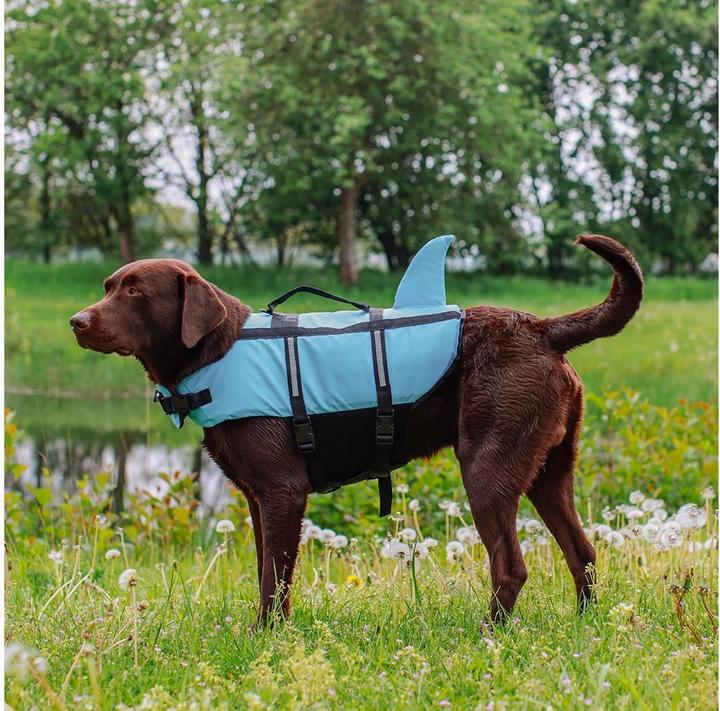 Produktbild Nobby Sharki (XL, Hundeschwimmweste)