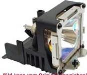Actual product image BenQ Lamp 59.J9301.CG1 for PB2140/2240 (PB2140, PB2240)