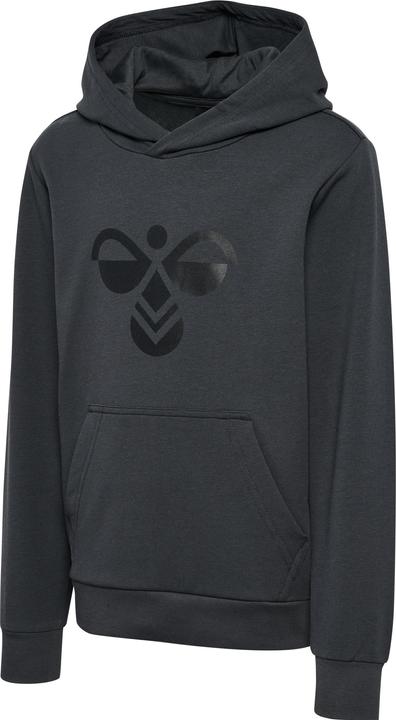 Image du produit hummel hmlCUATRO HOODIE (122)