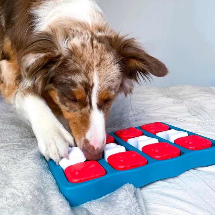 Actual product image Nina Ottosson dog brick (Intelligence toy dog)