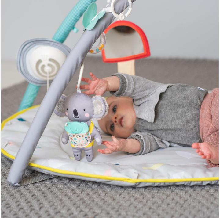 Actual product image Taf Toys All Around Me