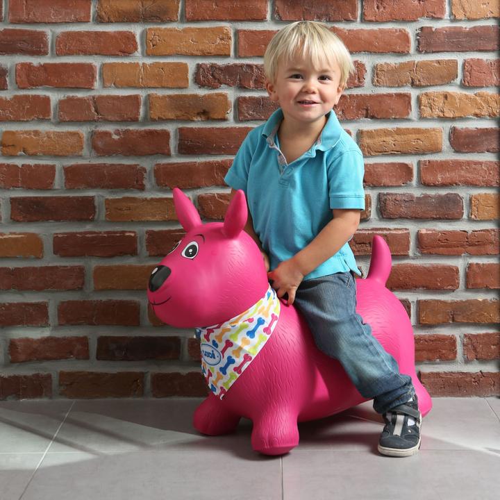 Image du produit LUDI Chien rebondissant