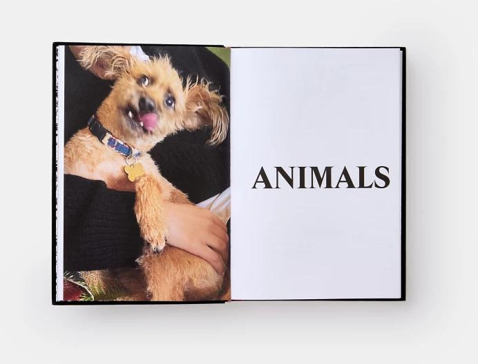 Immagine prodotto Palace Product Descriptions (Inglese, Sam Buchan-Watts, Lev Tanju, Palace Skateboards, 2022)