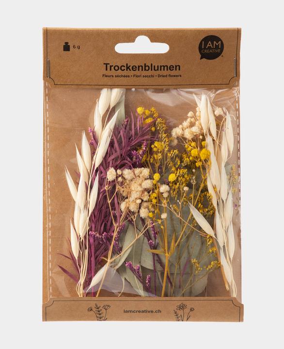 Actual product image I Am Creative Dried flower set (Dried flowers)