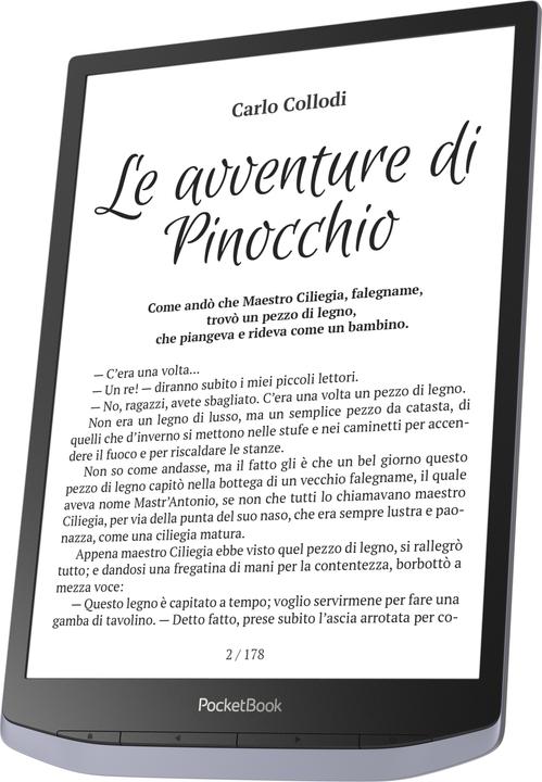 Image du produit PocketBook InkPad X (10.30", 32 Go, Gris métallique)