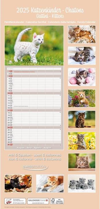 Produktbild Kalender Katzenkinder 24.5 x 51.5 cm (24.5 x 51.5 cm)