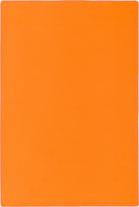 Produktbild Snapstyle Basic Velours Teppich Carla (100 x 400 cm)