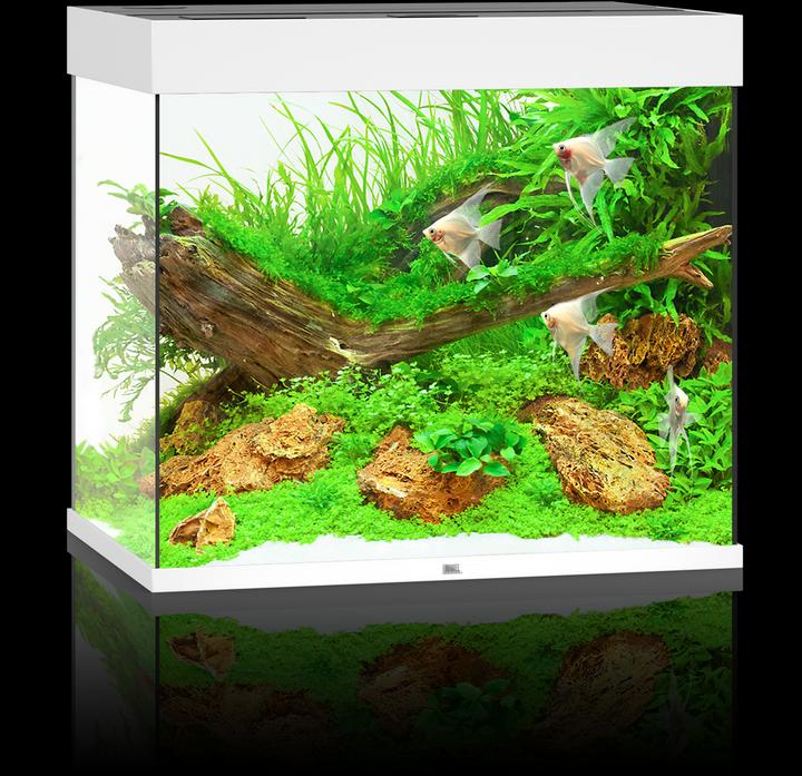 Produktbild Juwel Aquarium Aquarium Lido 200 70x51x65cm weiss (200 l)