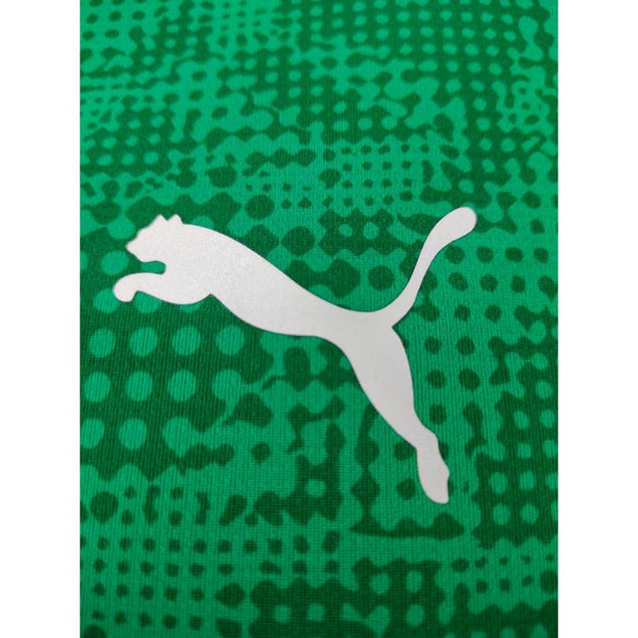 Actual product image Puma teamCUP Training Jersey (XL)