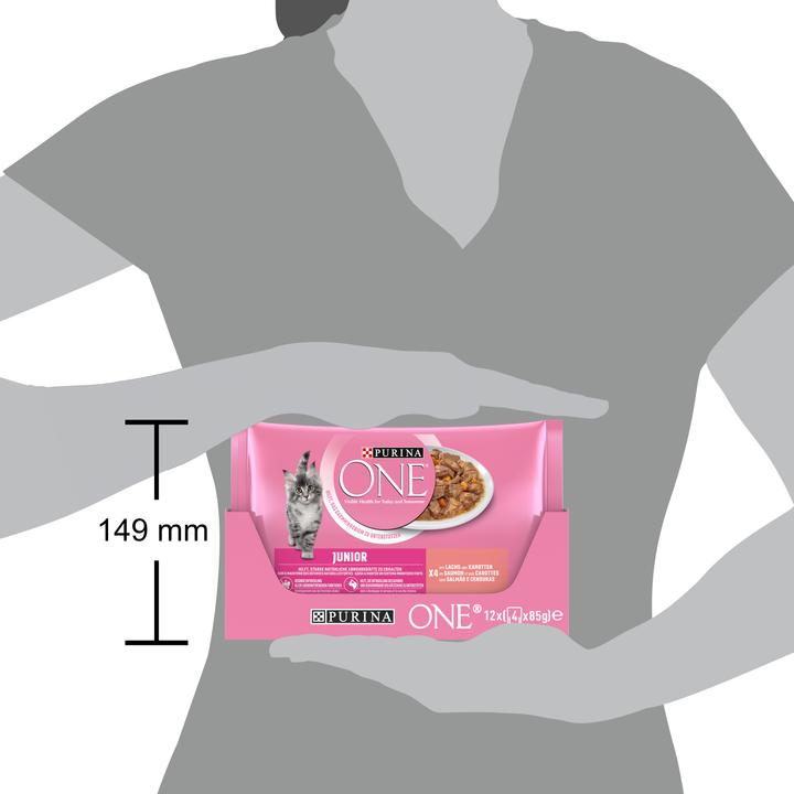 Immagine prodotto Purina ONE Junior (Junior, 4 pz., 85 g)