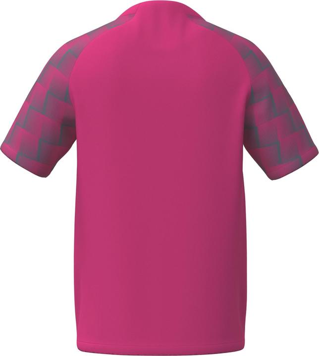 Actual product image Erima Evo Star jersey (152)