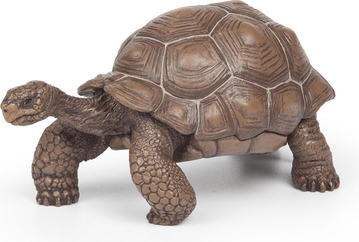 Produktbild Papo Galápagos-Riesenschildkröte